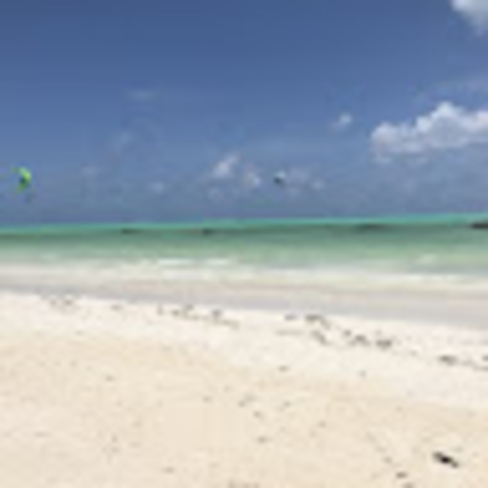 Meet your Posher, Meg